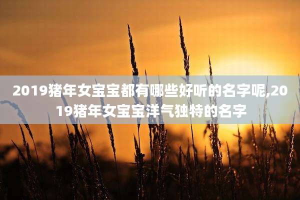 2019猪年女宝宝都有哪些好听的名字呢,2019猪年女宝宝洋气独特的名字