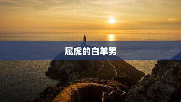 属虎的白羊男
