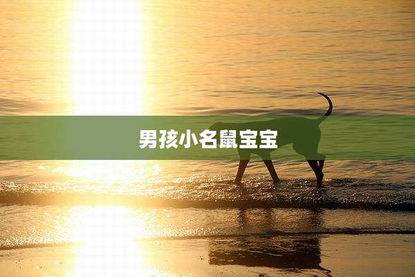 男孩小名鼠宝宝