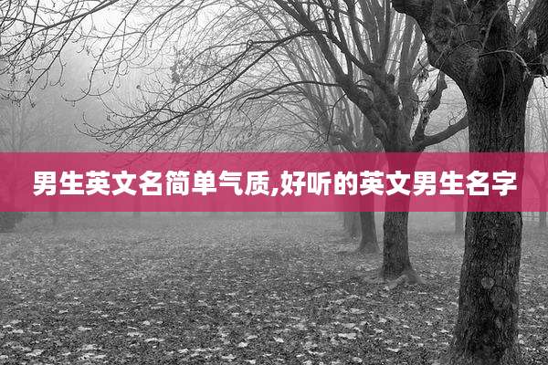 男生英文名简单气质,好听的英文男生名字