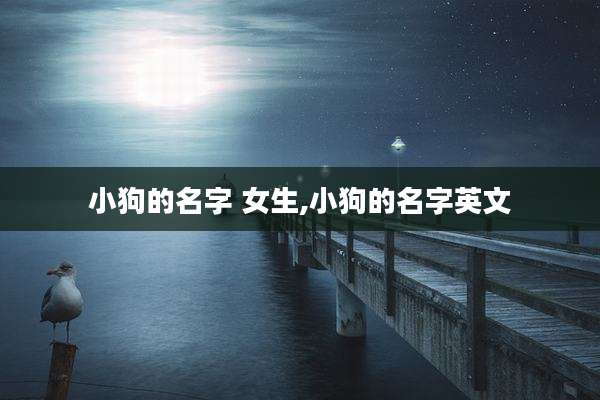 小狗的名字 女生,小狗的名字英文