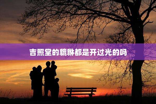 吉照堂的貔貅都是开过光的吗