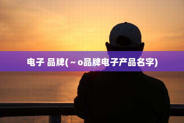 电子 品牌(～o品牌电子产品名字)