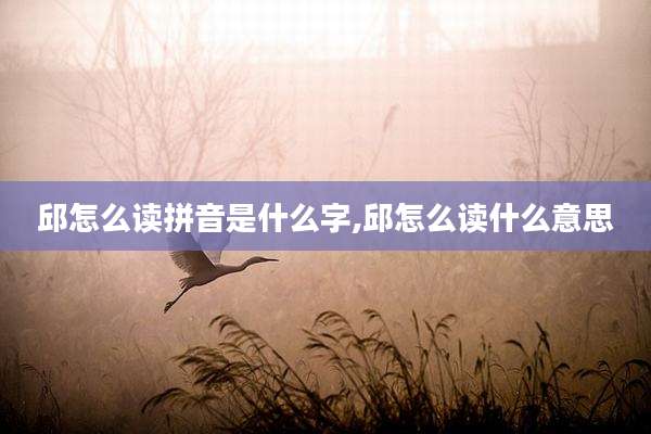 邱怎么读拼音是什么字,邱怎么读什么意思