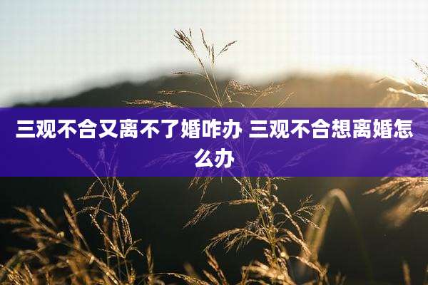 三观不合又离不了婚咋办 三观不合想离婚怎么办
