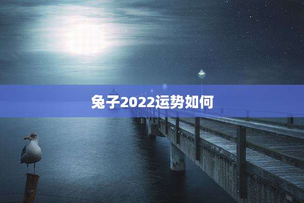 兔子2022运势如何