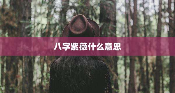八字紫薇什么意思