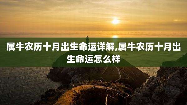 属牛农历十月出生命运详解,属牛农历十月出生命运怎么样
