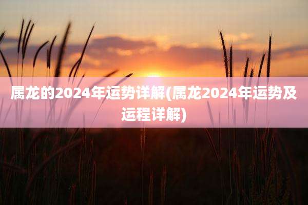 属龙的2024年运势详解(属龙2024年运势及运程详解)