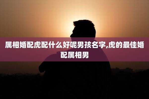 属相婚配虎配什么好呢男孩名字,虎的最佳婚配属相男