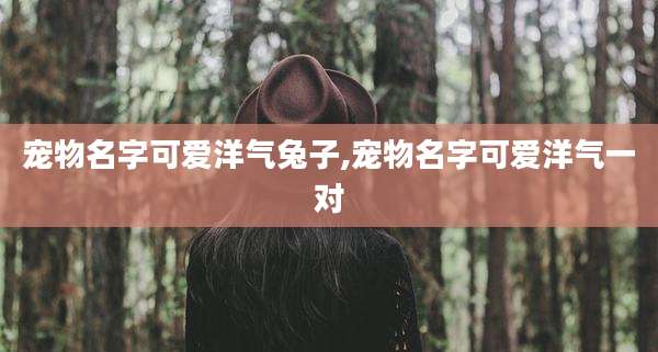 宠物名字可爱洋气兔子,宠物名字可爱洋气一对