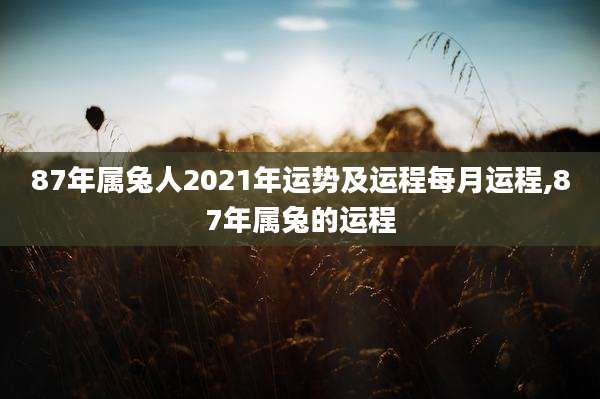 87年属兔人2021年运势及运程每月运程,87年属兔的运程