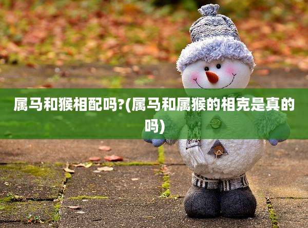 属马和猴相配吗?(属马和属猴的相克是真的吗)