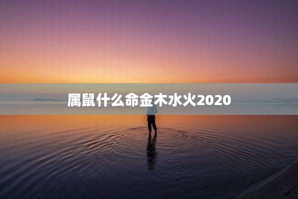 属鼠什么命金木水火2020