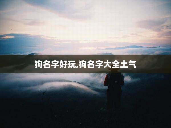 狗名字好玩,狗名字大全土气