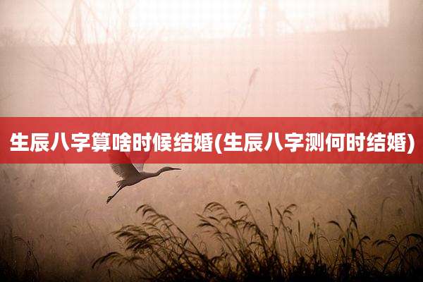 生辰八字算啥时候结婚(生辰八字测何时结婚)