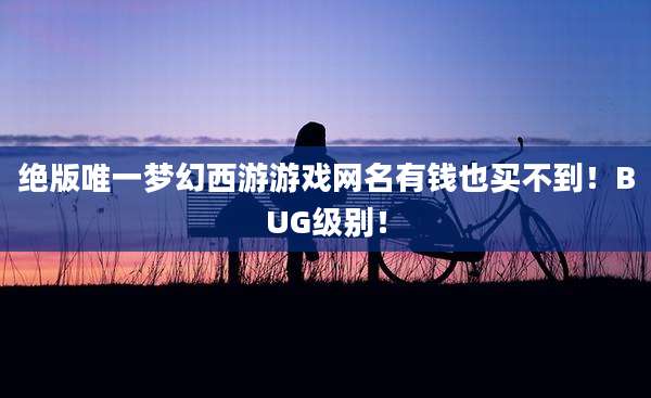 绝版唯一梦幻西游游戏网名有钱也买不到！BUG级别！