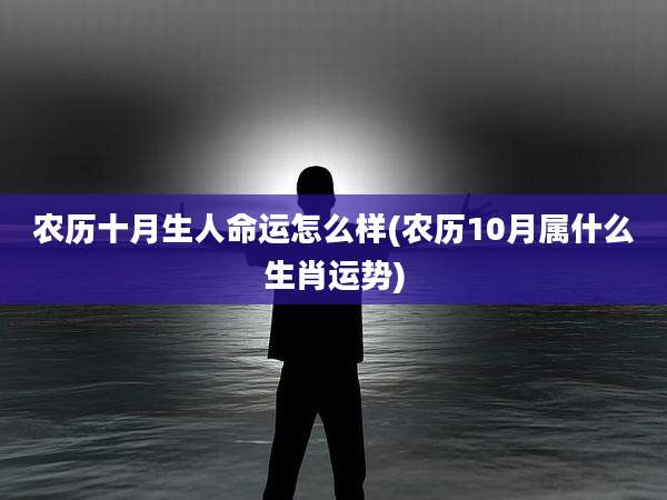 农历十月生人命运怎么样(农历10月属什么生肖运势)