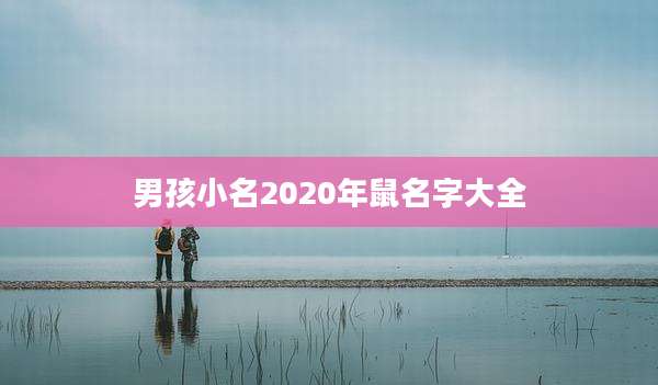 男孩小名2020年鼠名字大全