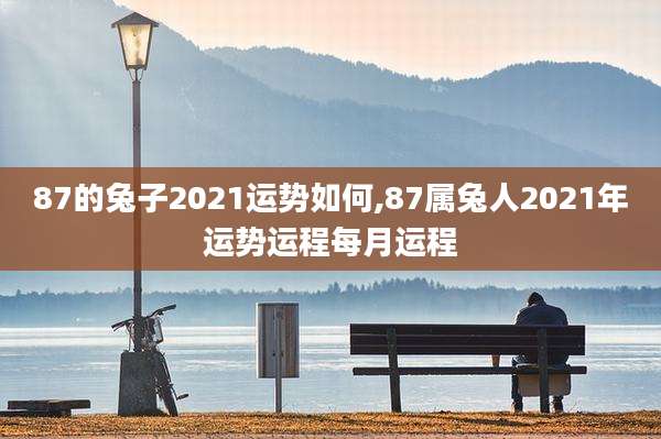 87的兔子2021运势如何,87属兔人2021年运势运程每月运程