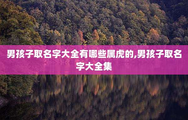 男孩子取名字大全有哪些属虎的,男孩子取名字大全集
