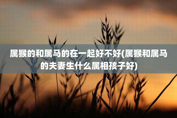 属猴的和属马的在一起好不好(属猴和属马的夫妻生什么属相孩子好)
