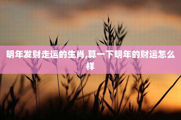 明年发财走运的生肖,算一下明年的财运怎么样