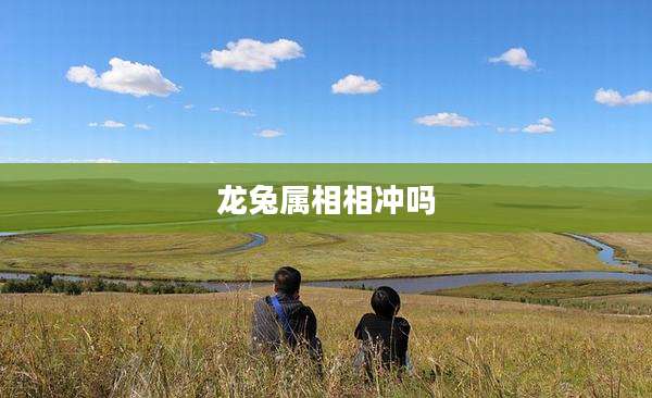 龙兔属相相冲吗