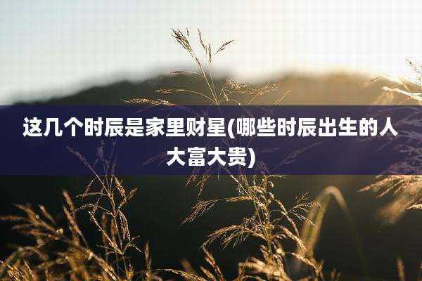 这几个时辰是家里财星(哪些时辰出生的人大富大贵)