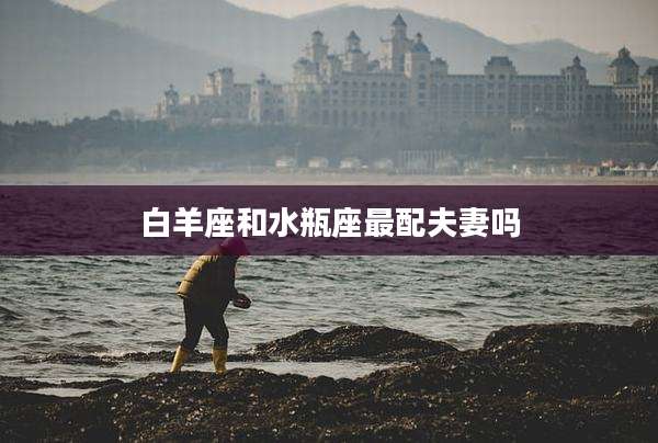白羊座和水瓶座最配夫妻吗