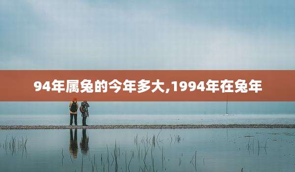 94年属兔的今年多大,1994年在兔年