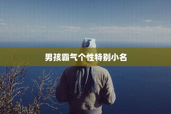 男孩霸气个性特别小名