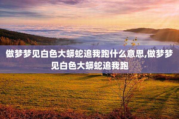 做梦梦见白色大蟒蛇追我跑什么意思,做梦梦见白色大蟒蛇追我跑
