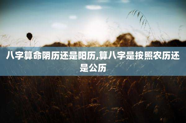 八字算命阴历还是阳历,算八字是按照农历还是公历