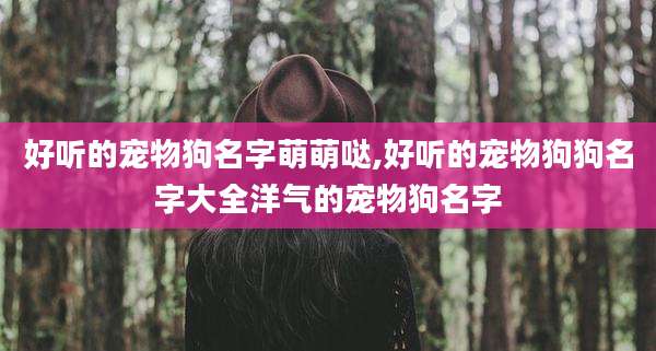 好听的宠物狗名字萌萌哒,好听的宠物狗狗名字大全洋气的宠物狗名字