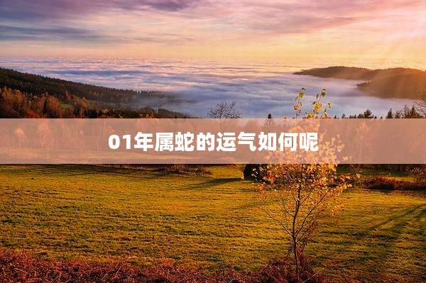 01年属蛇的运气如何呢