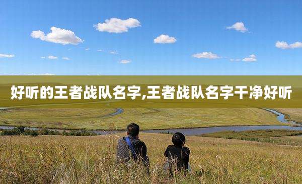 好听的王者战队名字,王者战队名字干净好听