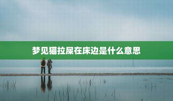 梦见猫拉屎在床边是什么意思