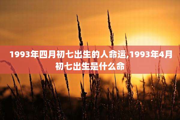 1993年四月初七出生的人命运,1993年4月初七出生是什么命