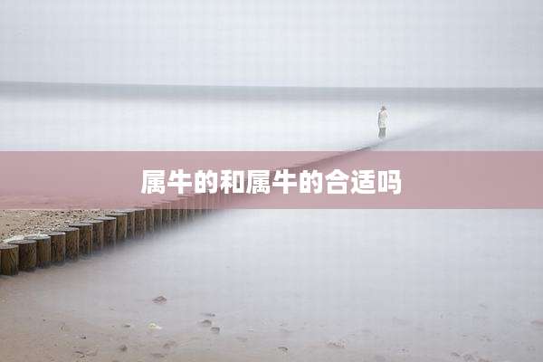 属牛的和属牛的合适吗
