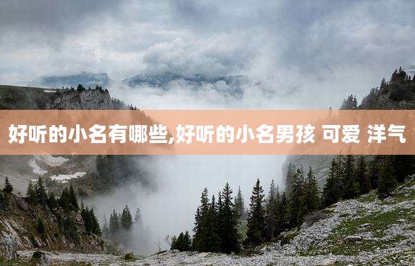 好听的小名有哪些,好听的小名男孩 可爱 洋气