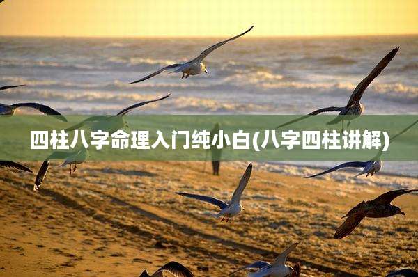四柱八字命理入门纯小白(八字四柱讲解)