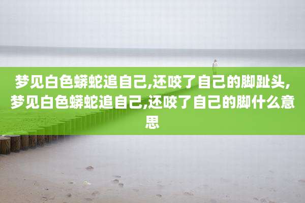梦见白色蟒蛇追自己,还咬了自己的脚趾头,梦见白色蟒蛇追自己,还咬了自己的脚什么意思