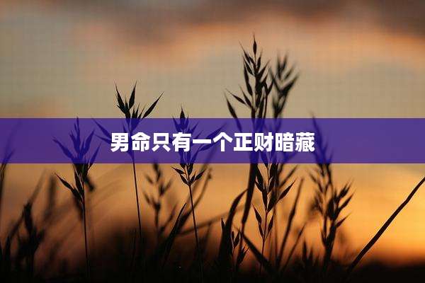男命只有一个正财暗藏