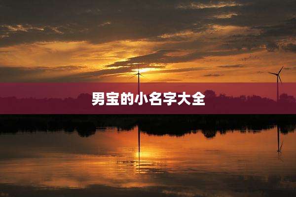 男宝的小名字大全