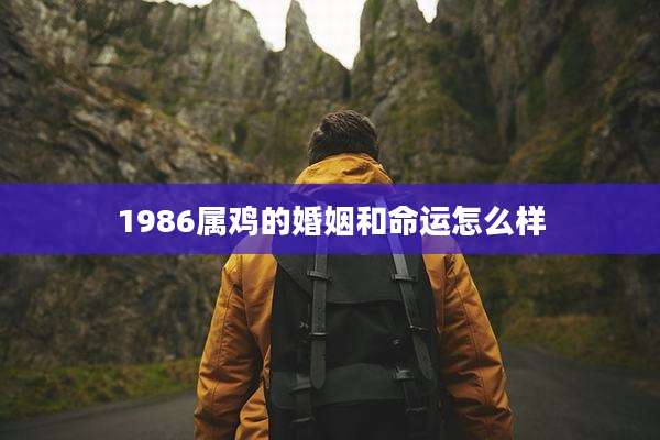 1986属鸡的婚姻和命运怎么样