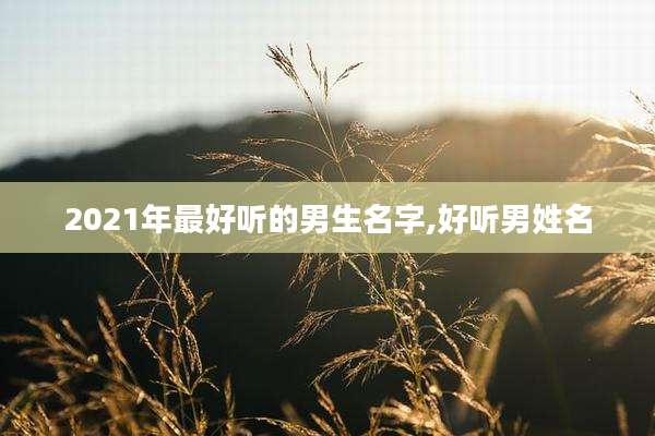 2021年最好听的男生名字,好听男姓名