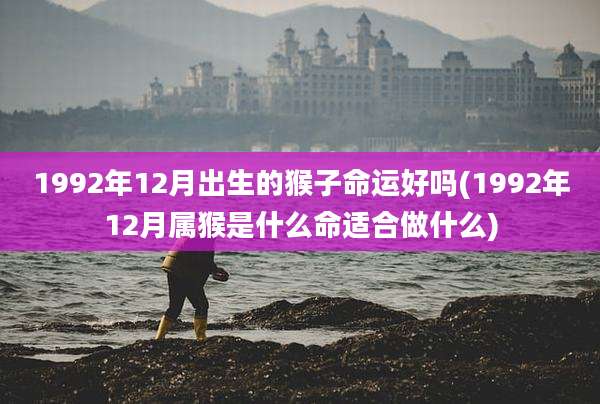 1992年12月出生的猴子命运好吗(1992年12月属猴是什么命适合做什么)