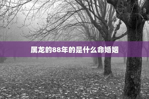 属龙的88年的是什么命婚姻