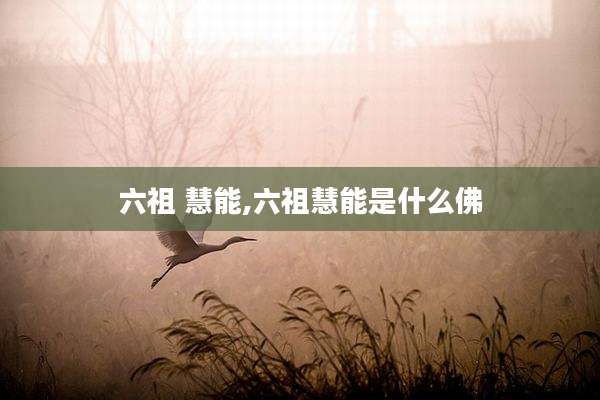 六祖 慧能,六祖慧能是什么佛